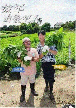 四虎影院综艺山野厨房海报